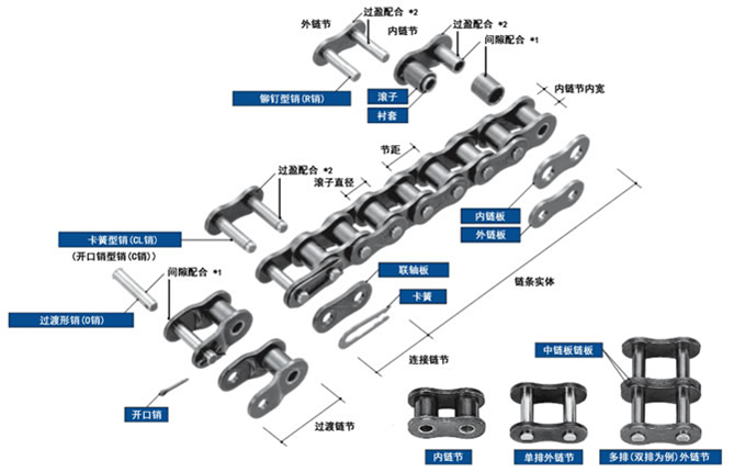 日本椿本标准滚子链